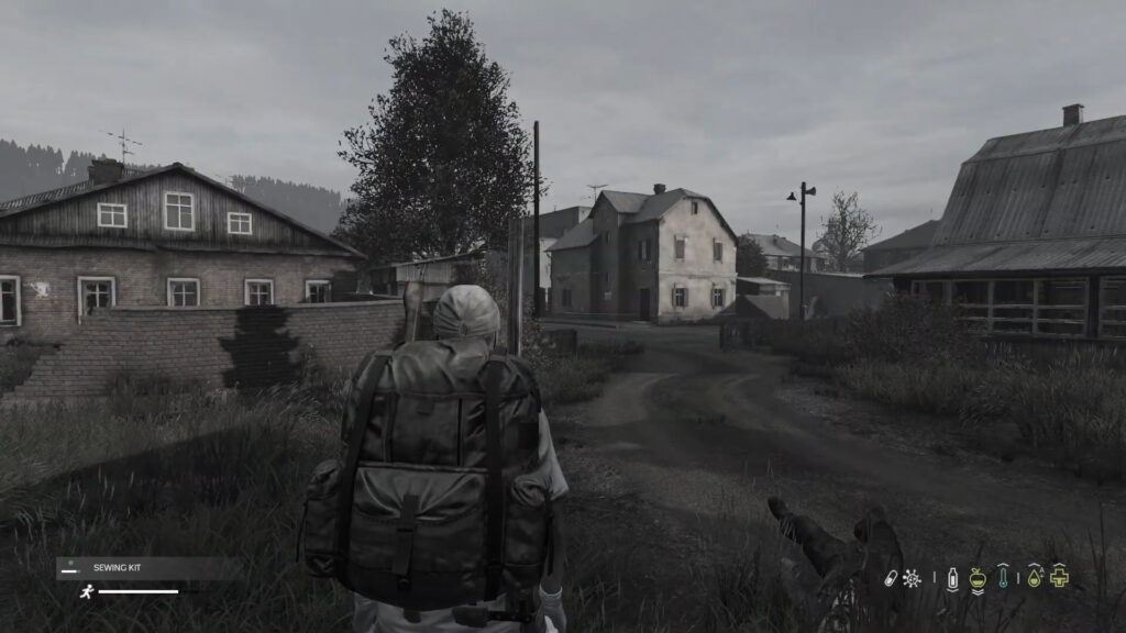 DayZ screen